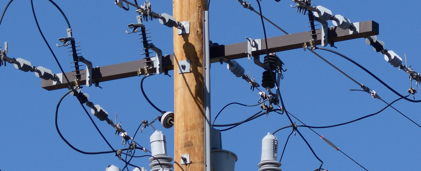 Case Study | Reimagining the Electric Grid