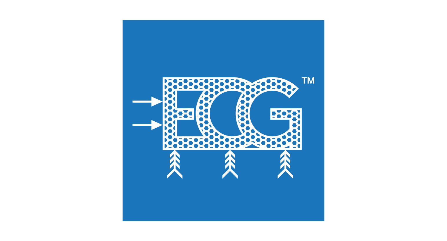 More About Engineering Consultants Group (ECG)